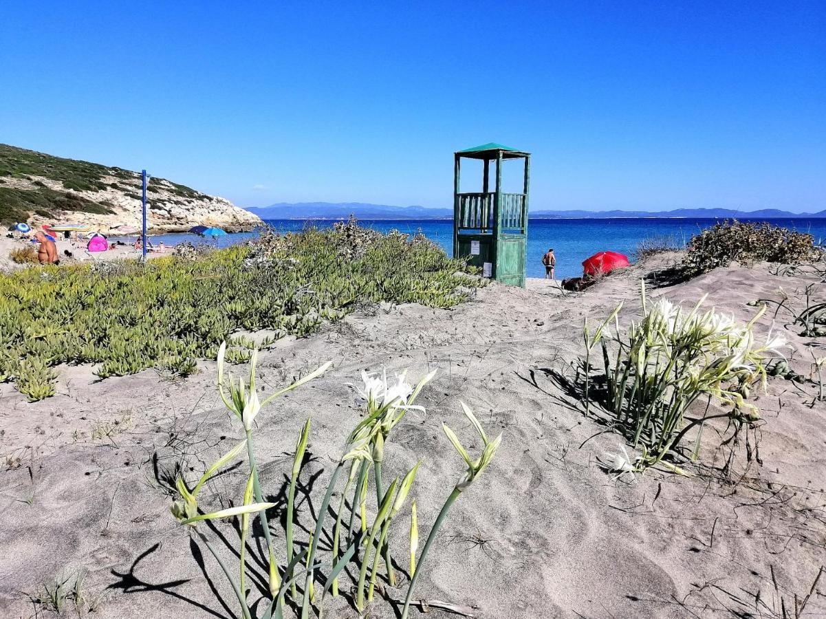 B&B Glamping Semaforo Capo Sperone Сант'Антьоко Екстер'єр фото